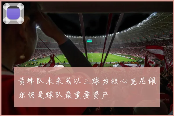 黄蜂队未来或以三球为核心克尼佩尔仍是球队最重要资产