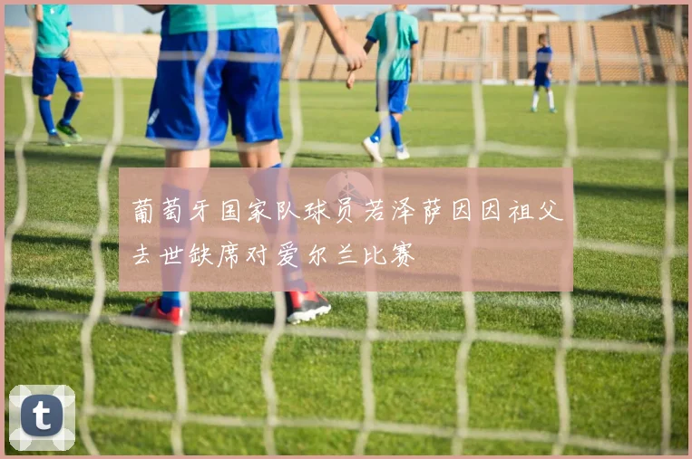 葡萄牙国家队球员若泽萨因因祖父去世缺席对爱尔兰比赛