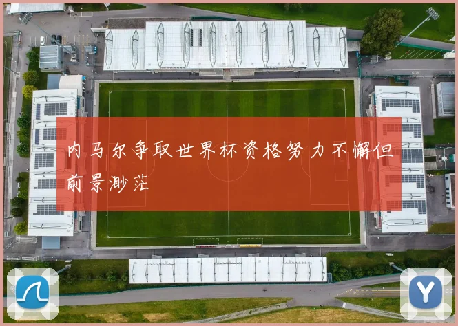 内马尔争取世界杯资格努力不懈但前景渺茫