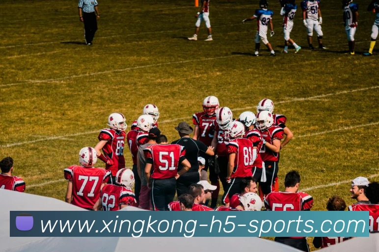 星空体育发展历程